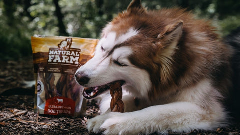 What Are Bully Sticks Made From