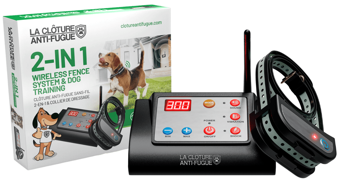 Cloture Anti Fugue Sans Fil N 1 2 Colliers La Cloture Anti Fugue