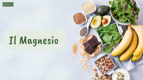 Il Magnesio Fa Dimagrire Scoprilo Subito Erboristeria Binasco