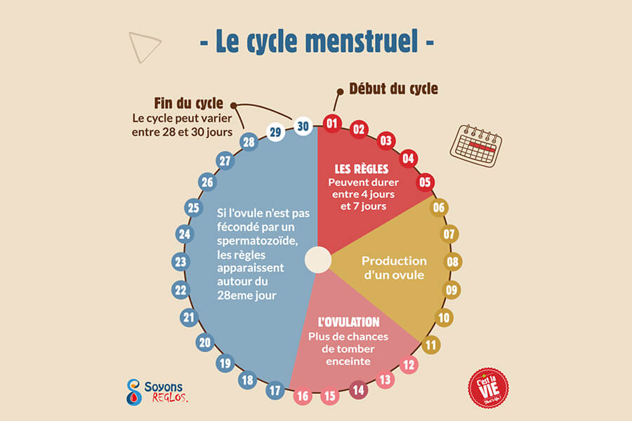 Les Regles Peu Abondantes Hypomenorrhee Oduho