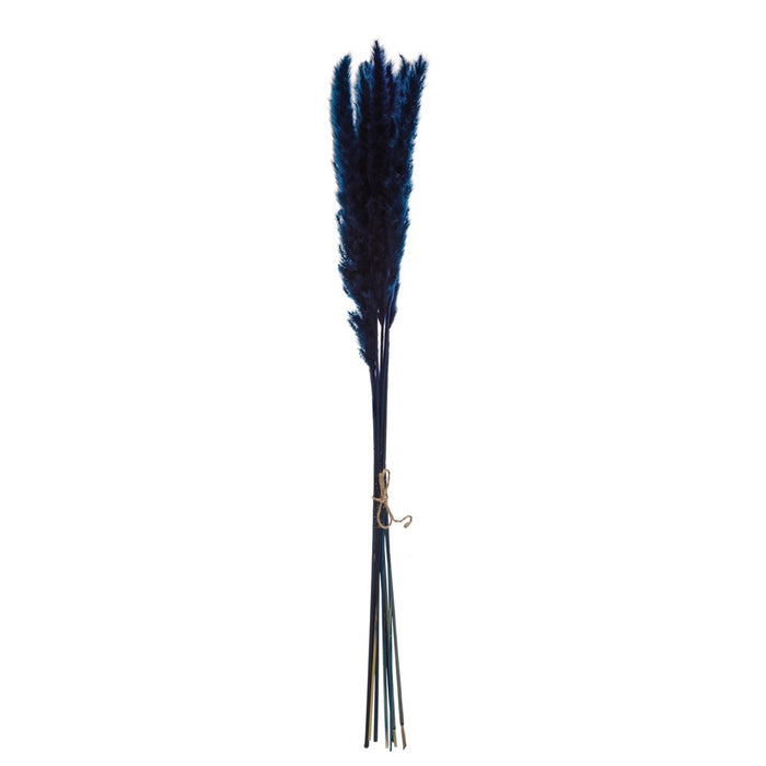 Dried Pampas Grass Navy The Black Brick Co Llc
