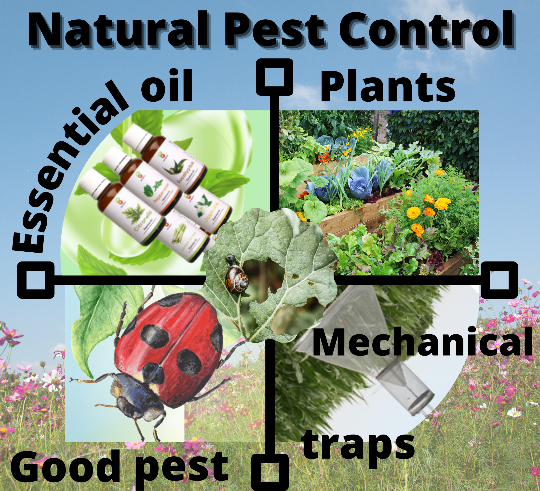 What Is Natural Pest Control