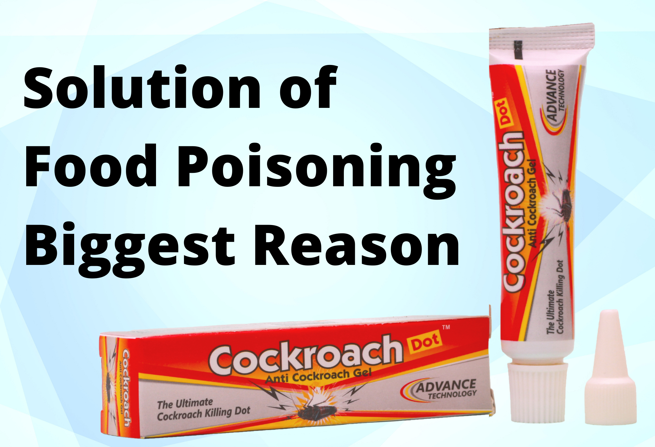 Cockroach Food Poisoning Symptoms