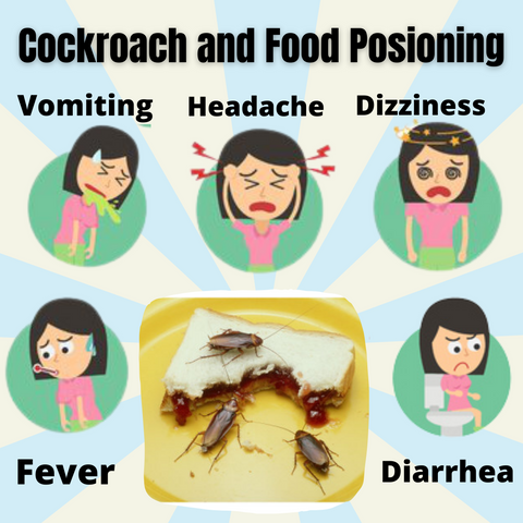 Cockroach Food Poisoning Symptoms