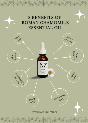 The Uses And Benefits Of Roman Chamomile Essential Oil Natural Zen Home Fragrance Studio