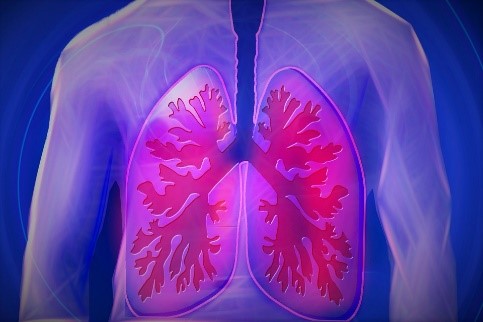 Why Are My Lungs Burning Burn In Chest When Cough