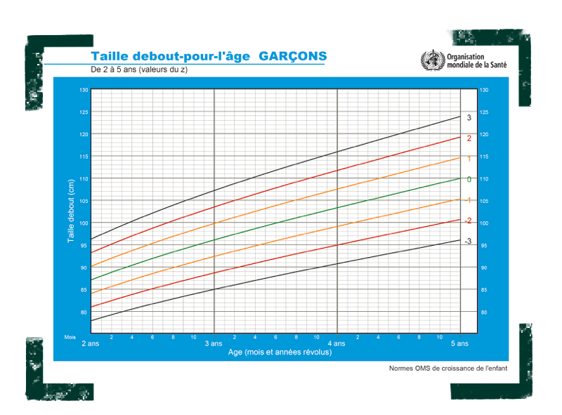 Quelle Taille De Velo Enfant Choisir Gibus Cycles