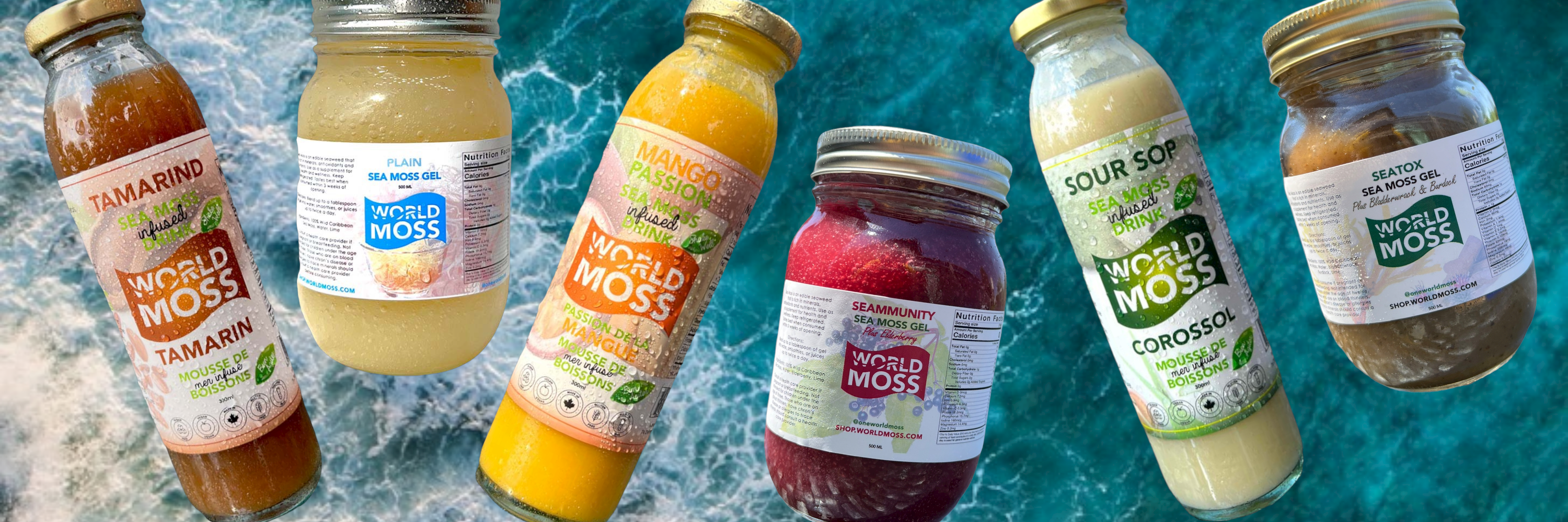 World Moss Canada S First All Sea Moss Company Toronto Canada