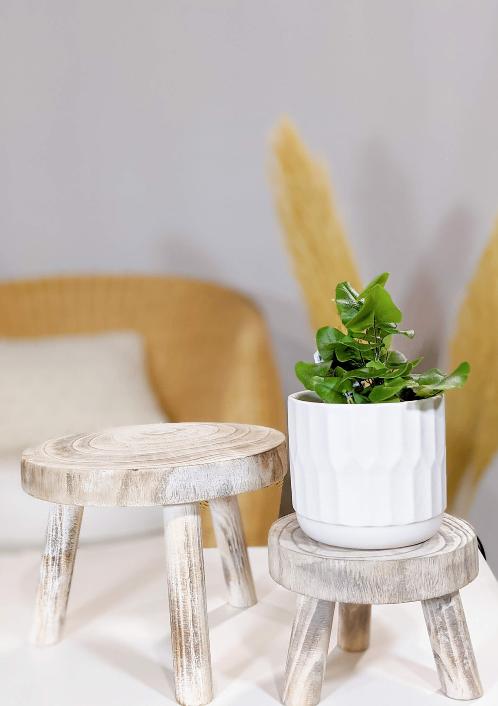 White Wash Plant Stand