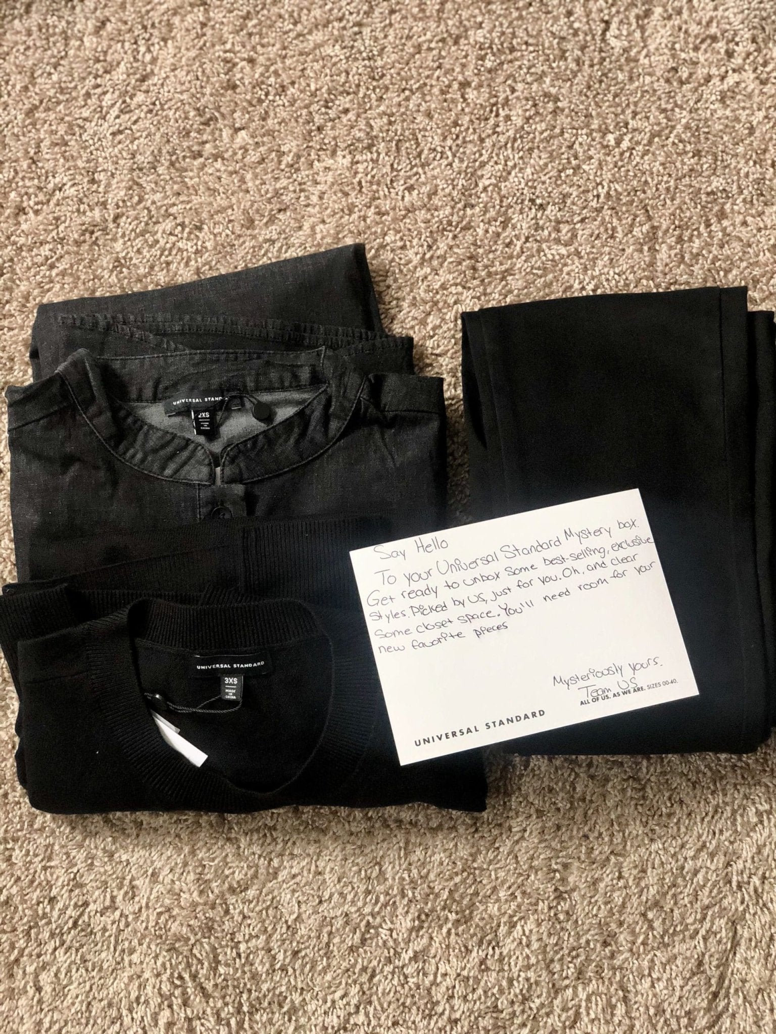 Universal Standard Mystery Box Review What We Got The Fascination