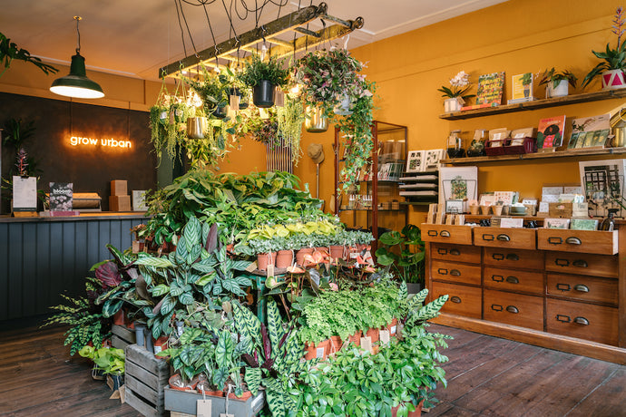 Our New Store Is Now Open Hello Stockbridge Grow Urban