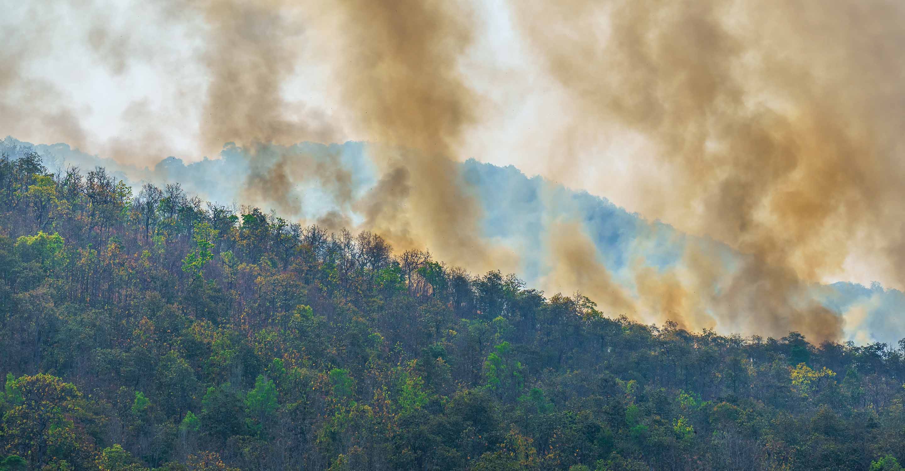 ¿Hasta dónde puede llegar el humo de los incendios del Amazonas?