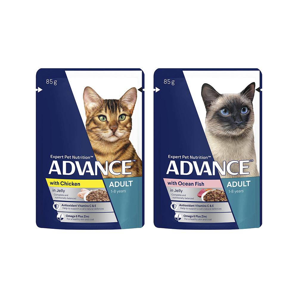 Advance Ocean Fish Chicken Turkey Jelly 85x12g Cat Food Petso