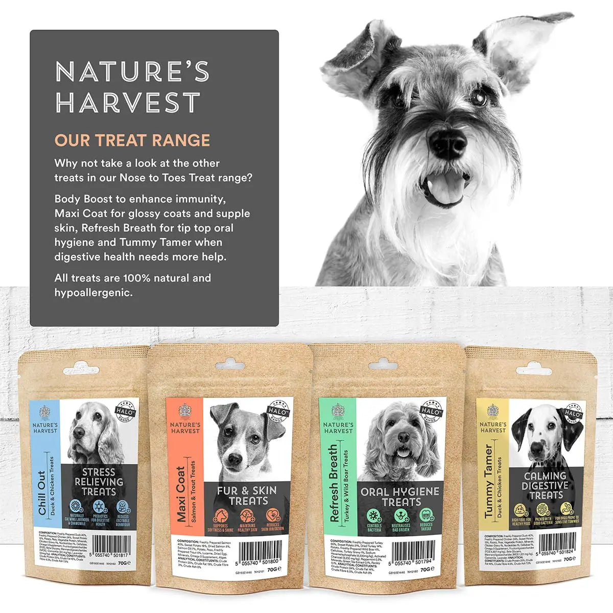 Immunity Enhancing Dog Treats Body Boost 70g Nature S Harvest Natural Dog Food