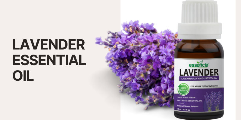 Benefits Of Lavender Oil Essancia
