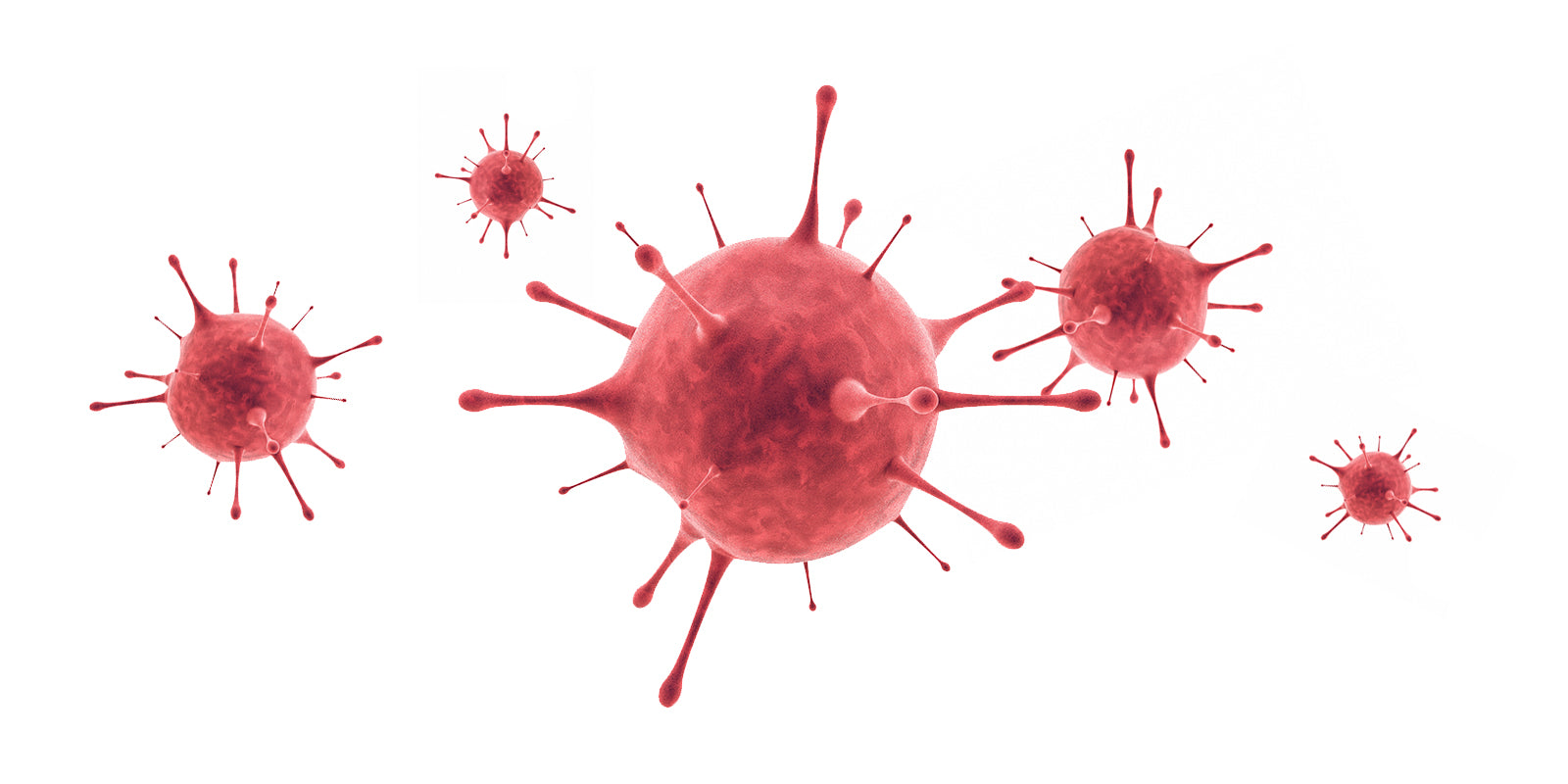 Come Si Tratta Il Papilloma Virus Orale Nutrabio Shop