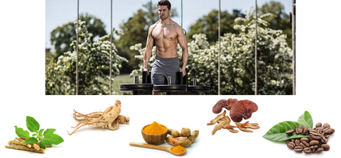 Top 10 Healthiest Organic All Natural Pre Workouts Of 2022 Cracked Supplements