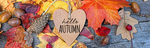 Upcoming Shows Shop With Us In Person Heirloom Evolution