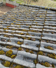 Gron Fri Takrengoring Lycab