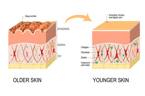 Ren Advanced Anti Wrinkle Dark Spot And Lifting Face And Neck Serum 48 Off Rebeautyus