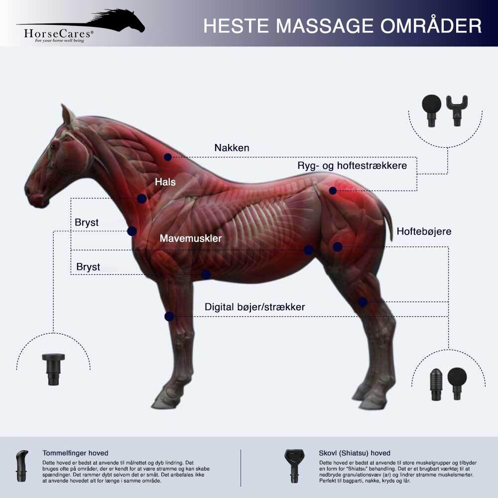 Pulserende Massagepistol Til Heste Equinerelax Dk
