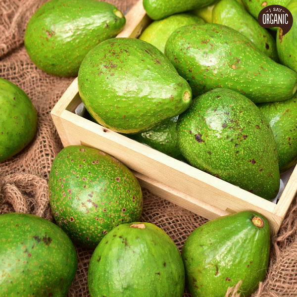 Avocado Fruit A Super Food I Say Organic