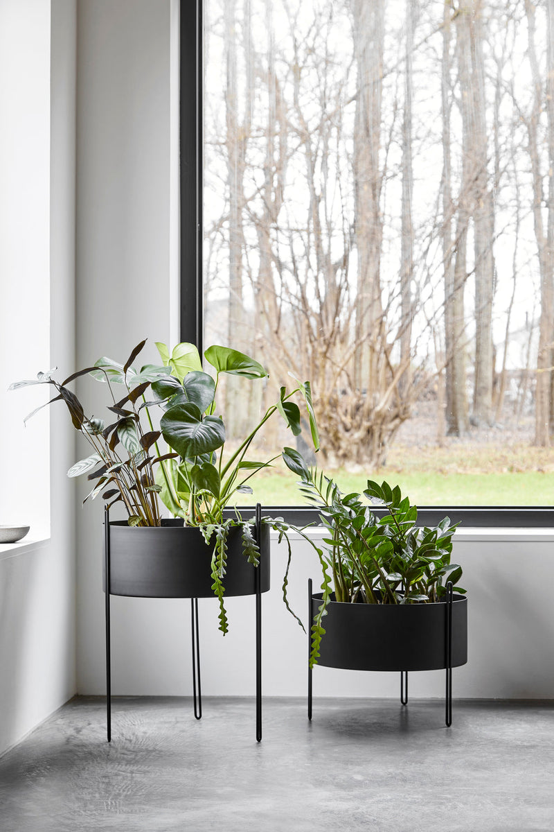 Pidestall Planter Large Black Woud