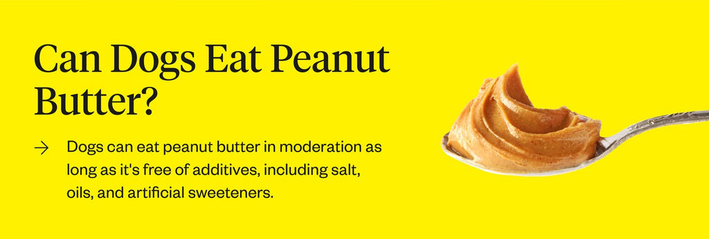 Can Dogs Eat Peanut Butter Peanut Butter Feeding Guide Dutch