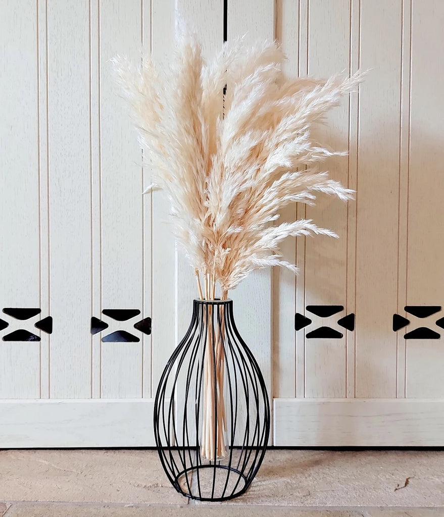 10 Cream Pampas Grass Iconic Black Vase Pinktoucan
