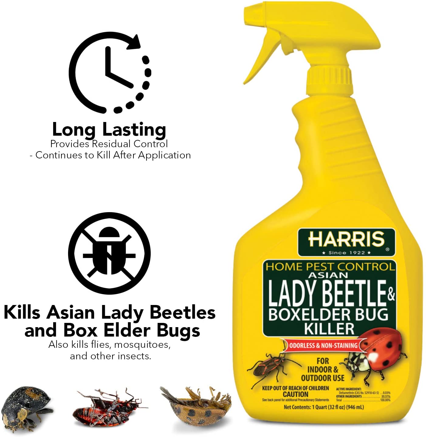 Harris Home Pest Control Asian Lady Beetle And Box Elder Killer 32 Fl Pf Harris