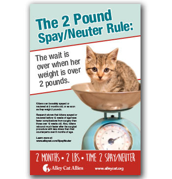 2 Months 2 Pounds Time 2 Spay And Neuter Alley Cat Allies