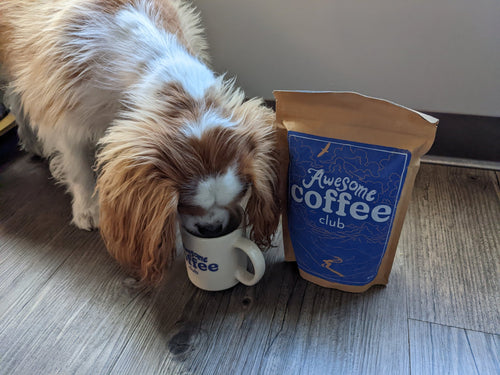 Awesome Coffee Club