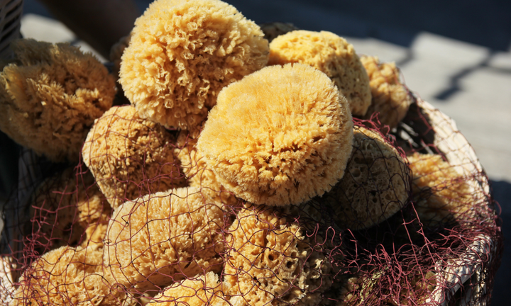 Why We Love Natural Sea Sponges And You Should Too Urban Spa