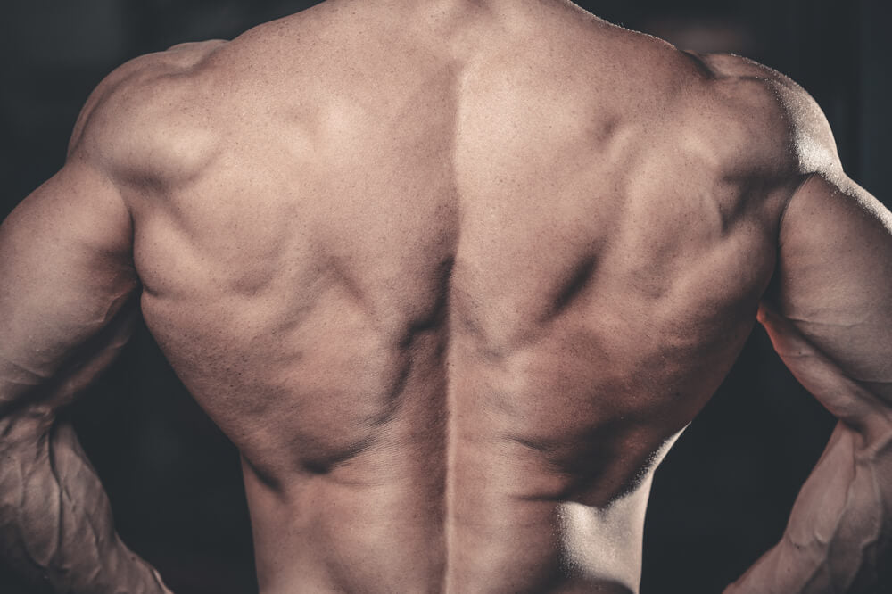 Extreme Back And Bicep Workout For Muscle Mass Hugesupplements