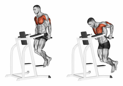 The 1 Best Chest And Triceps Workout For Muscle Mass Strength Hugesupplements