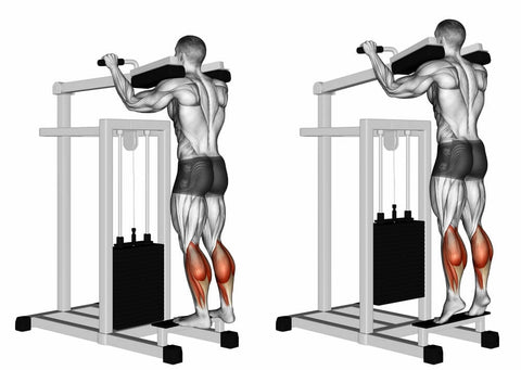 The 5 Best Calf Exercises For Mass Revealed Hugesupplements