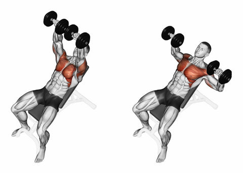 The 1 Best Chest And Triceps Workout For Muscle Mass Strength Hugesupplements
