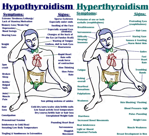 Thyroid Gland Problems Jeunvie