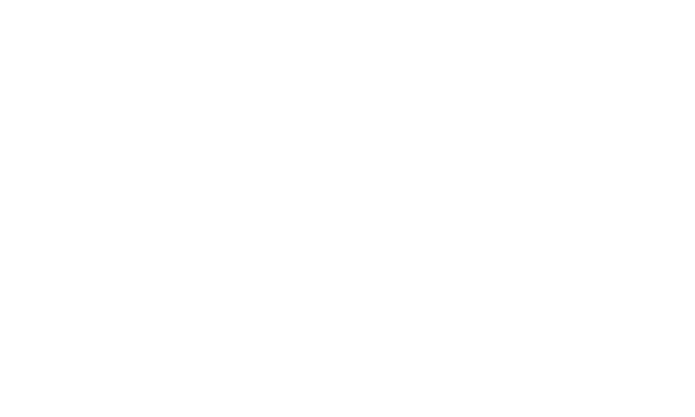 Electric Love Festival Niuway