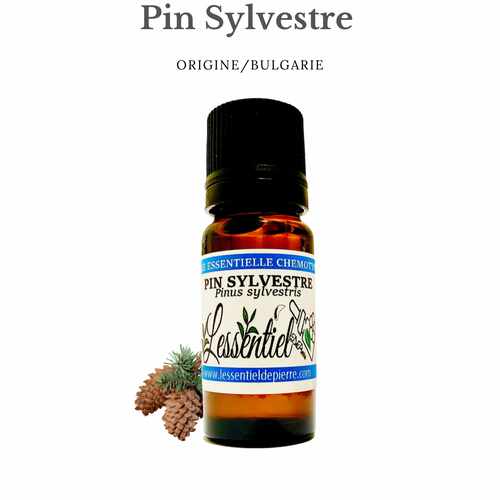 Huile Essentielle Arbre A The Tea Tree Lessentieldepierre