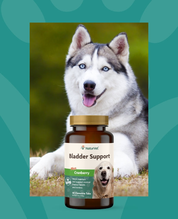 Where To Buy Naturvet