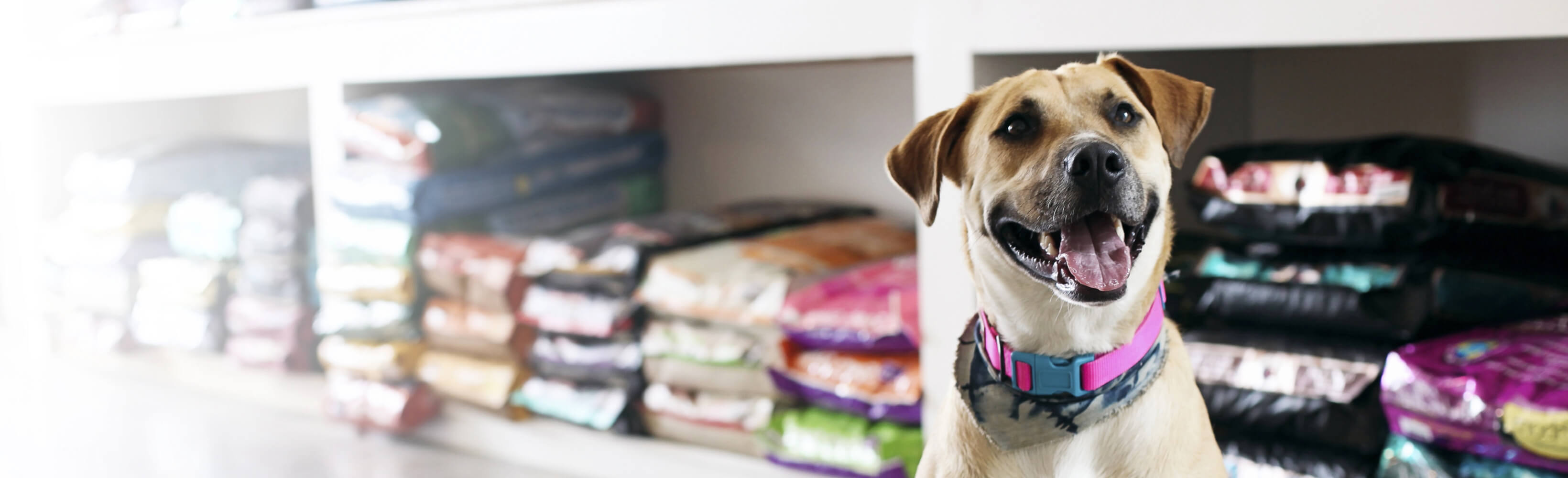 Where To Buy Naturvet