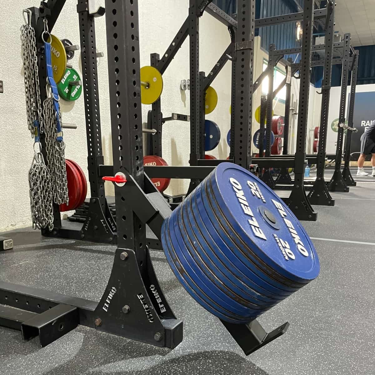 Belt Squat Attachment Revolt Fitness