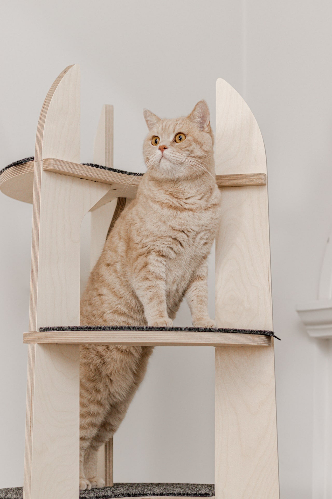 Loom Cat Tree Tower Catlas Design