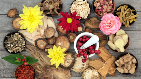 Contact Us Chinese Culinary Herbs For Sale Vita Herbal Nutrition