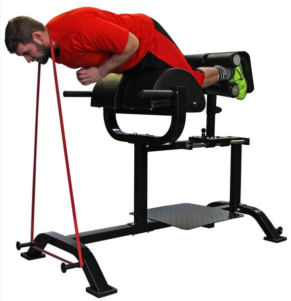 glute ham developer