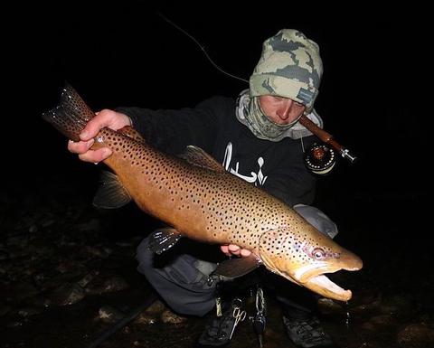 Catching Freshwater Monsters At Night Cheeky Fishing