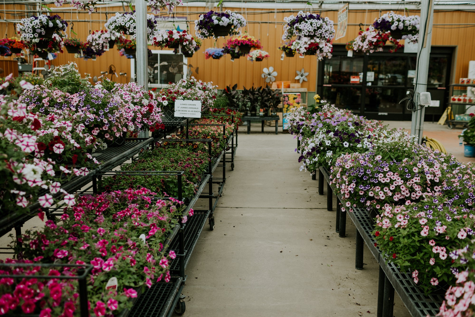 Garden Center Lowe S Greenhouse