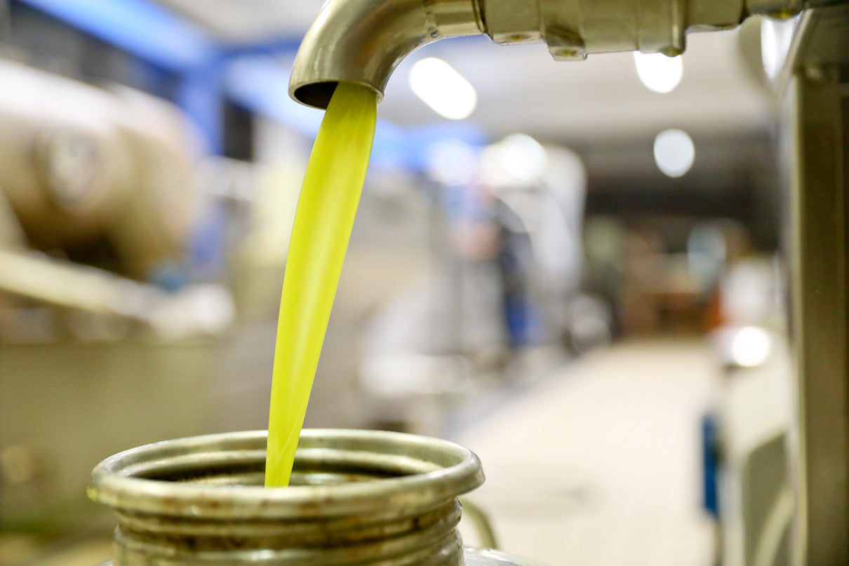 Olive Oil Versus Canola Other Vegetable Oils Olive Oil Lovers