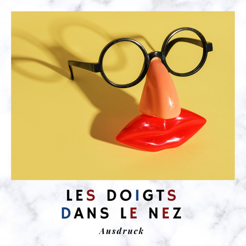 Eine Kleine Lektion Franzosischer Vokabeln Zum Spass Audette De